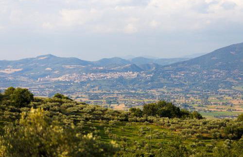 Agriturismo il Cicaleto - Foto 34