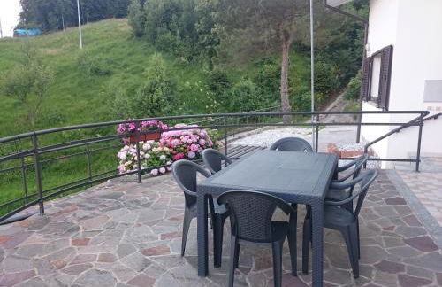 Ciclaminis - Photo 11