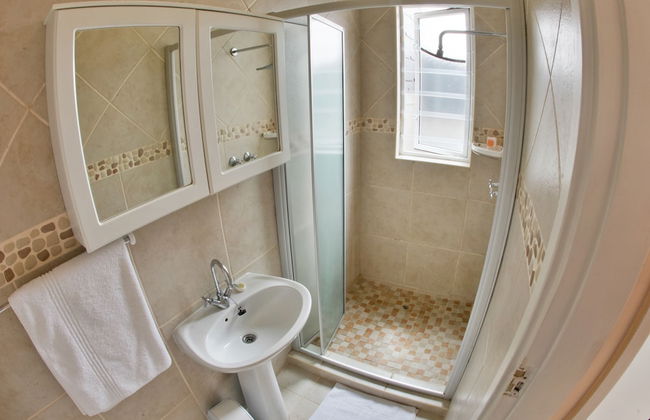 First Group Desert Rose - Photo 35