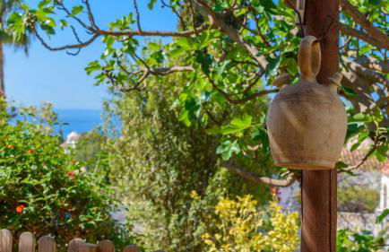 Villa Cipreses Frigiliana by Ruralidays - Photo 6