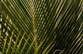 a casinha - Photo 39