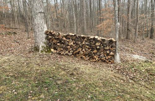 Modern and Cozy! Fire Pit, Lake, Mammoth Cave - Foto 33