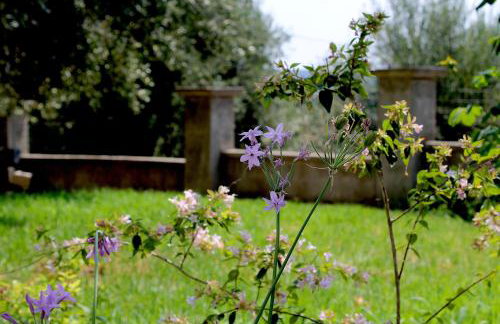 CHOÉ house - Foto 38