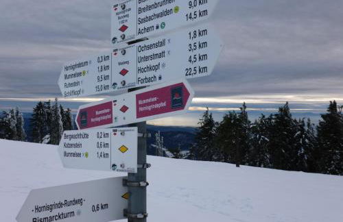 Schwarzwald-Ferienwohnungen Begert - Foto 36
