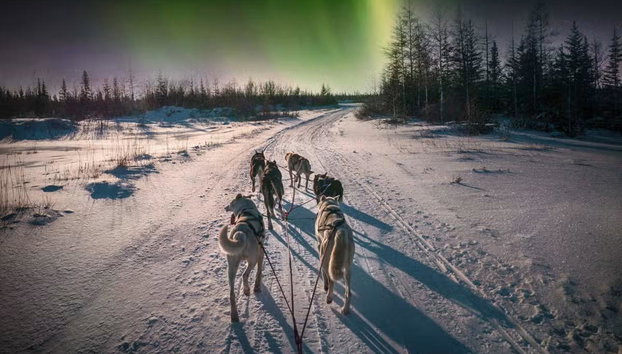 Paseo en trineo de perros husky bajo la aurora boreal - Foto 2