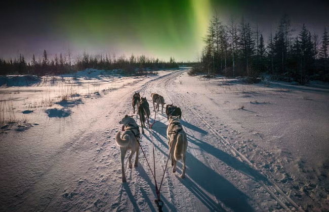 Northern Lights Husky Sleigh Ride - Photo 2