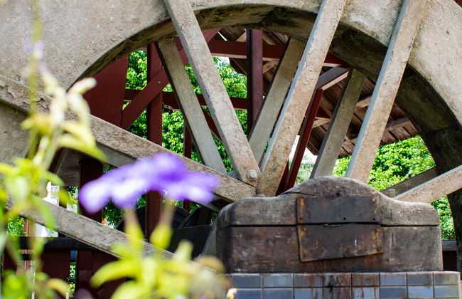 Escursione a Pozuzo - Foto 1