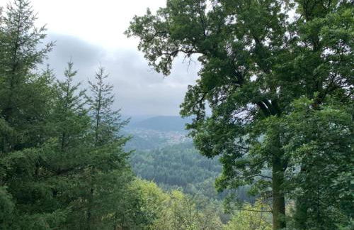 Premium apartment in Saint-Quirin with garden - Foto 43