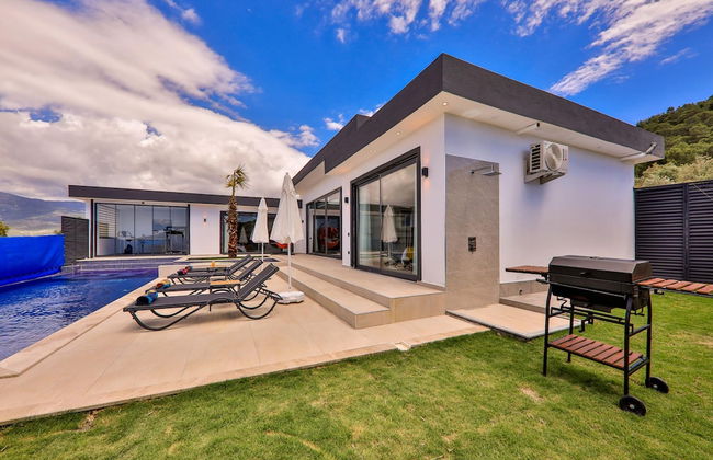 Sevil Uno in Gelemi Mahallesi - Foto 42