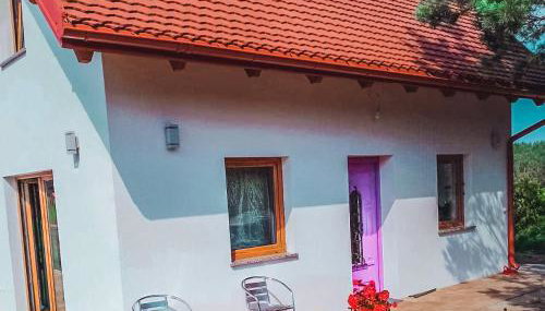 Lawendowy Poranek - Foto 2