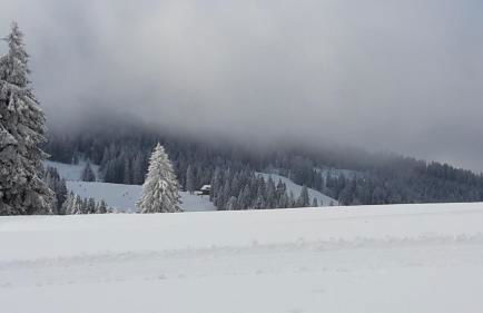 Ferienwohnung Hasenfratz - Foto 34