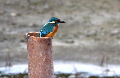 Lake Villa Holiday Cottages - Foto 69