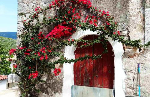 Lily Home_Lefkada ~ Private Country house - Foto 69