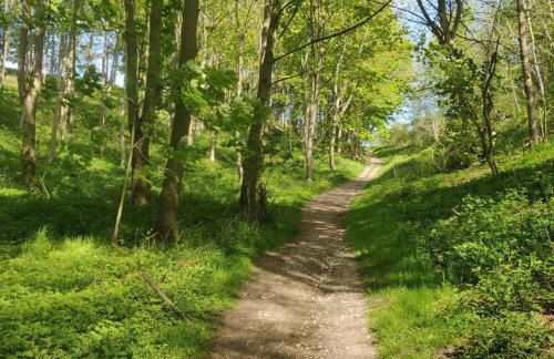 Holly Cottage, Hidden gem in the Yorkshire wolds - Foto 51