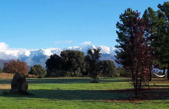 Sakura Vera - Foto 53