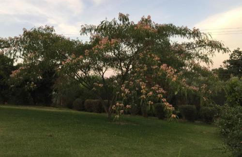 Holiday Home Villa Belle Vue- direkt am Meer- 1-2 Haustiere erlaubt by Interhome - Foto 19