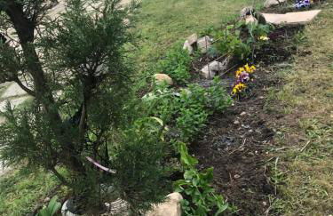 Studio évasion campagnarde avec jardin et parking, proche de Eurexpo et GroupamaStadium - Foto 8