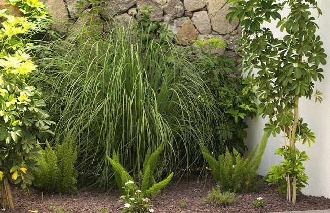 Bodrum Infinity - Foto 57