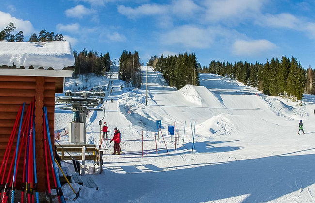 Lassinmaja - Photo 18