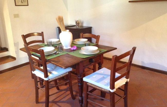 Vellutini Number One - Foto 29