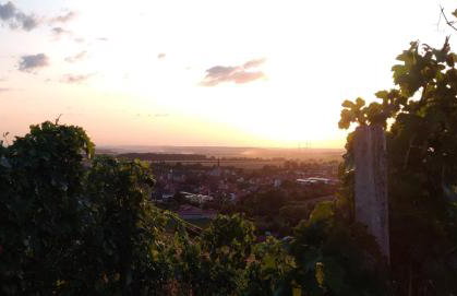 Ferienwohnung am Hollergraben - Foto 14