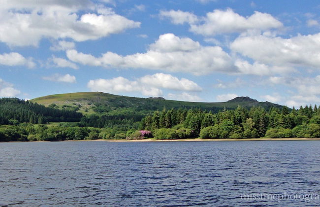 Dartmoor Reach Alpaca Farm - Foto 70