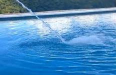 Rancho do andi - Foto 41