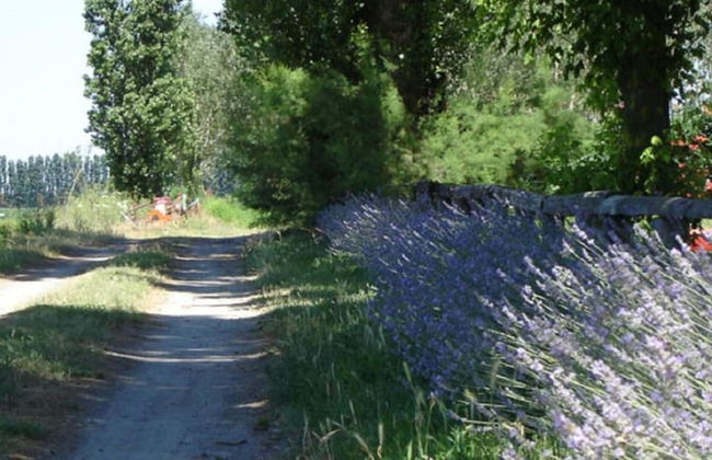 Characteristic Apartment in Codigoro With Pool - Foto 47