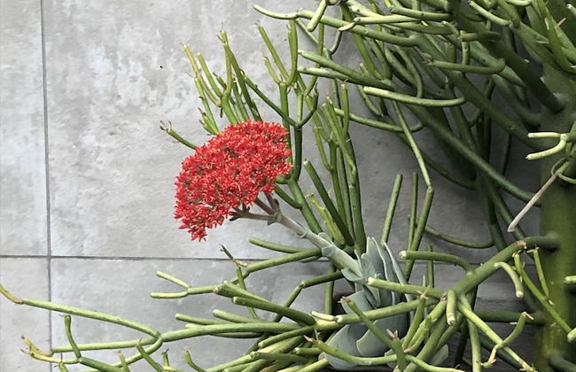 The Reserve Residence - Foto 53