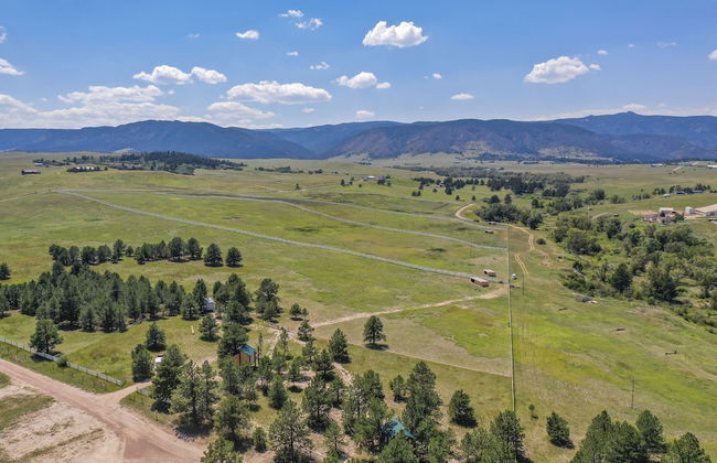 Tree Eagles Nest - Foto 39