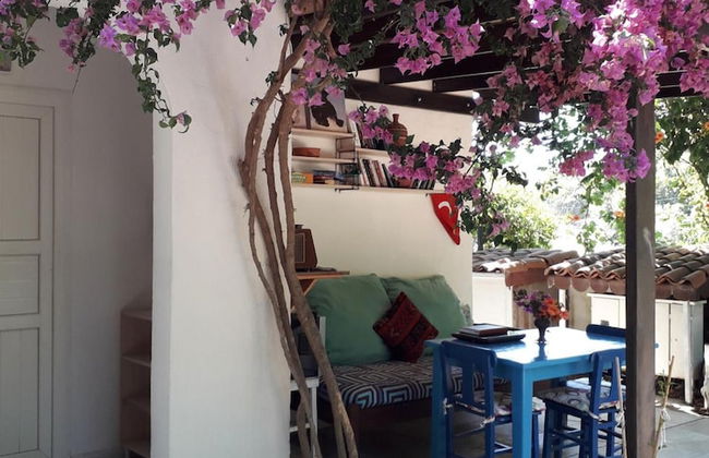 Paradise Gumusluk - Photo 13