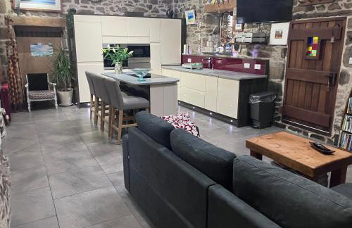 Anvil The Old Smithey - Foto 5