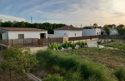 Apartamentos Cala Isabel - Foto 49