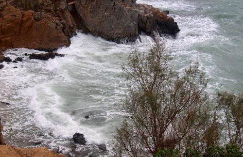 Vrachokipos - Foto 53