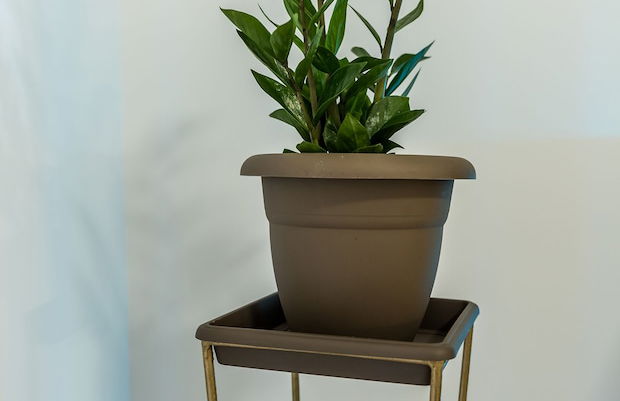 Kelaya Luxury Apartments - Foto 57