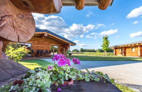 Ferienidyll zur Spreeaue - Foto 35