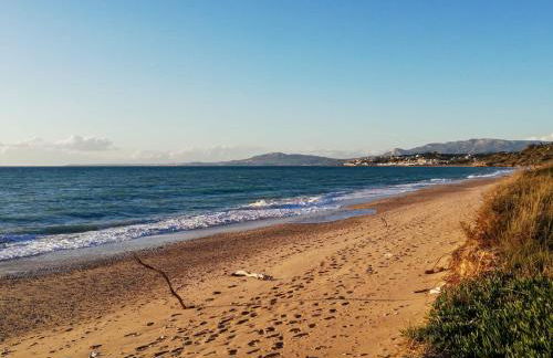 White Lotus - Foto 11