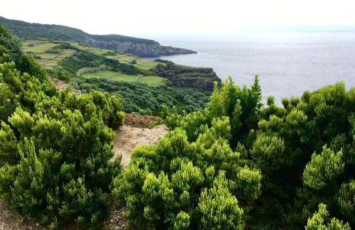 Casa Às Nove - Photo 56