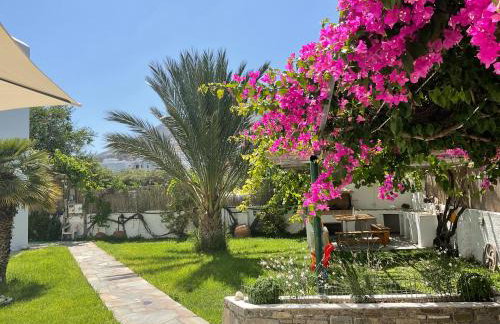 Rodia Studios & Apartments - Foto 51