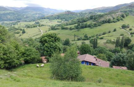 Apartamentos El Llanin - Foto 67