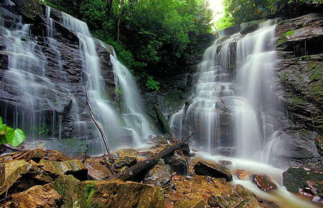 Cozy Creek Cottages - Foto 45