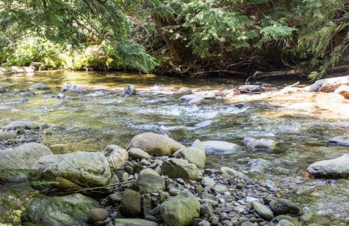 Smuggler's Notch Mountain House with hot tub & river - Foto 62