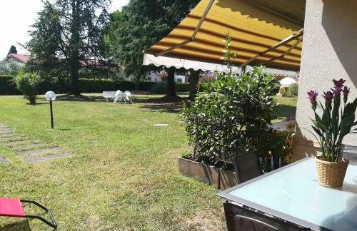 Prato Verde - Girasole - Foto 24