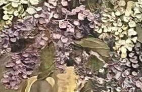 Spacious Semi-detached Southsea House, Free Parking On Drive - Photo 71