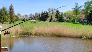 #MazuryWildLife - Foto 2