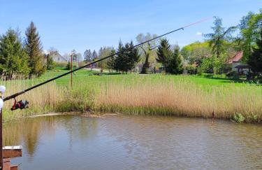 #MazuryWildLife - Foto 2