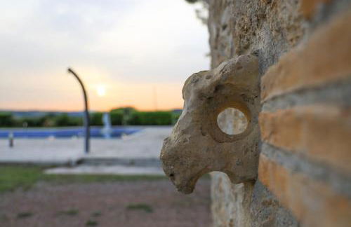 La Palombara - Foto 68