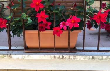 "CASA ROSI" Tel trequattrozero trentatre tredici seiquattrouno - Foto 18