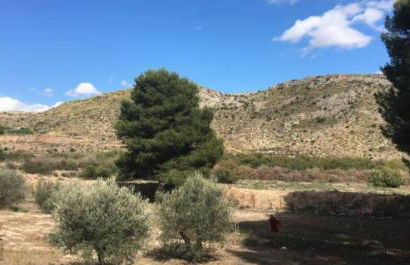 Casa Molera - Foto 54