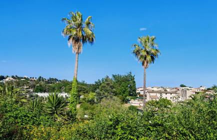 Jolie Maisonnette vençoise - Foto 2